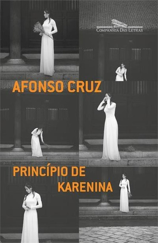 Principio De Karenina - 1ªed.(2021), De Afonso Cruz. Editora Companhia Das Letras, Capa Mole, Edição 1 Em Português, 2021