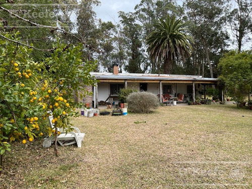 Imagen 11 de 17 de 5 Has En Veronica - Chacra En Venta Con Importante Arboleda