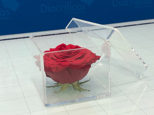 Caja De Rosas En Acrílico - Arreglo Rosas - Regalo Rosas
