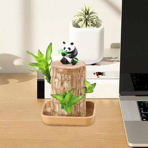 Para Madera De La Suerte Brasileña Con Panda | Set De