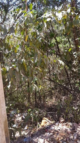 Imagem 4 de 5 de Lote Com 1 Quartos Para Comprar No Condomínio Recanto Da Serra Em Brumadinho/mg - 495