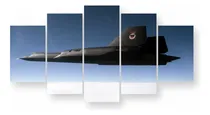Comprar Quadros Placas Decorativas Jato Blackbird Sala Quarto 