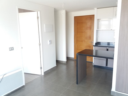 Arriendo Depto. 1 Dormitorio En El Centro De Concepción