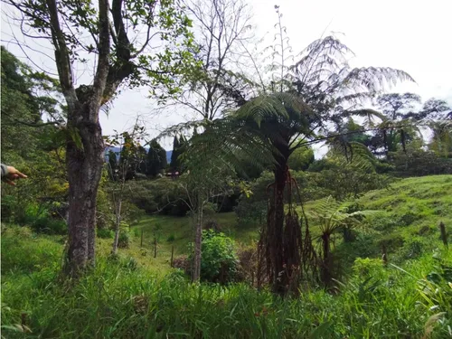 Venta De Lote En Guarne, Vereda Hojas Anchas