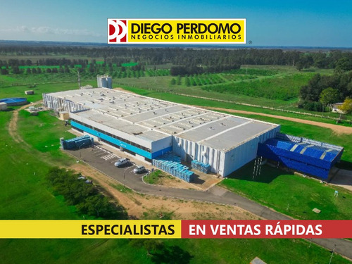 Local Logistico, En Venta, Ciudad Del Plata 