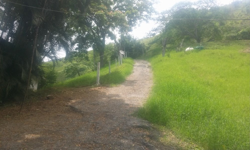 En Venta Finca Ideal Para Ganadería, Cría De Caballos Entre Otras Actividades.