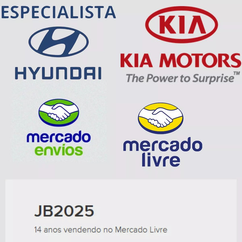 Central Injeção Kia Picanto 1.0 12v 2009 2010 2011 - Novo -