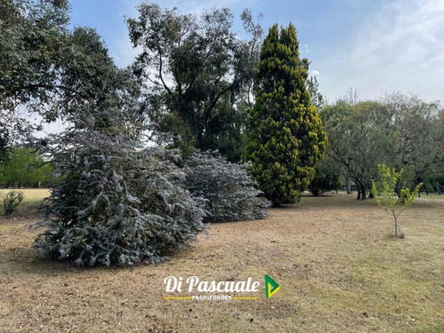 Imagen 9 de 26 de Chalet De Categoría Sobre 10.000 M2 - Chacras Los Robles De Carlos Keen