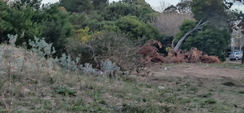 Venta De Lotes En San Bernardo 600m2 Últimos Lotes