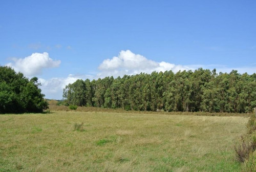 Campo En Venta