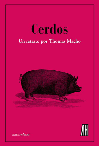 Cerdos, De Macho, Thomas. Editorial Adriana Hidalgo Editora, Tapa Dura En Español