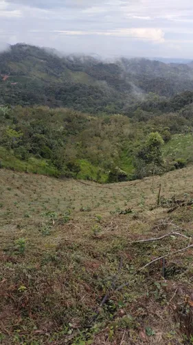 Vendo Finca