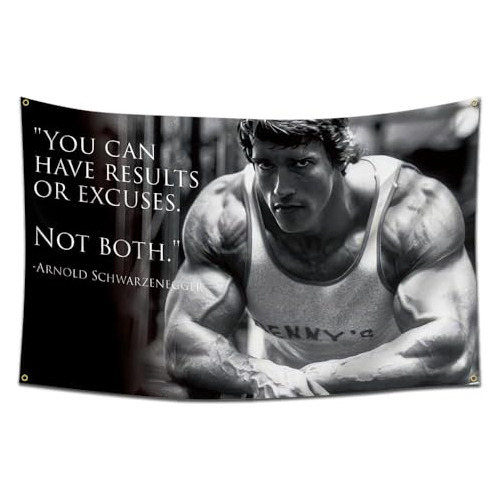 Arbinger Arnold Schwarzenegger You Can Have Results Or Excus