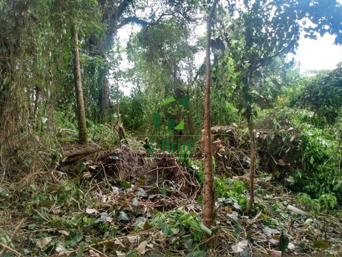 Imagem 6 de 12 de Terreno Em Mairiporã Com 1300m - Escriturado - Excelente Acesso - 666