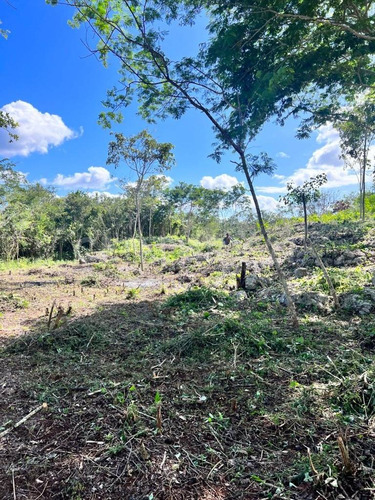 Terrenos De Inversión En Yucatán, Valladolid, México