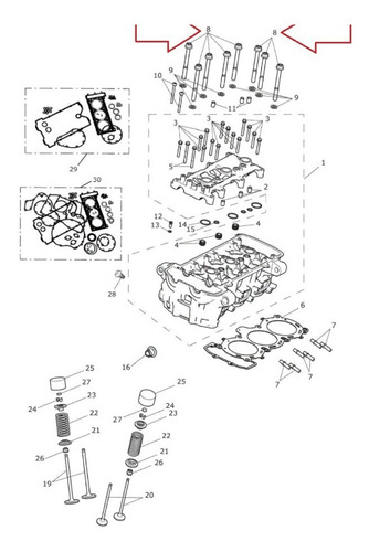 Kit 8 Parafuso Cabeçote Tiger Explorer 2012 Original Triumph