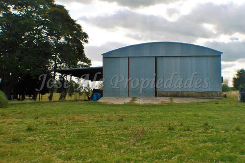 Imagen 2 de 14 de En Venta Campo De 137 Ha Colonia Del Sacramento