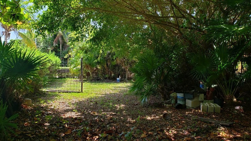 Imagen 14 de 29 de Terreno En Venta Punta Sam, Isla Mujeres