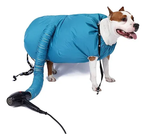 Secador para perros grandes new arrivals