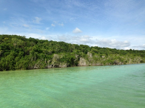 Terreno Campestre En Bacalar / Bacalar - Ari-702-tca