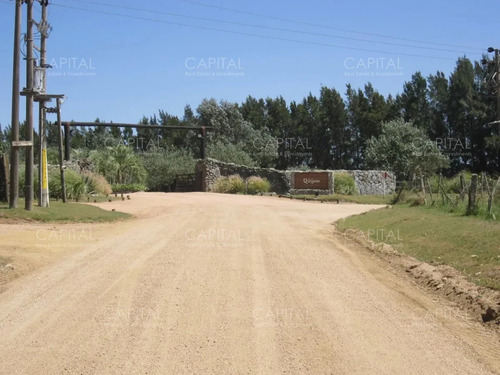 Lote En Venta En Cerro Eguzquiza, Ideal Para Barrio Privado E Inversionistas.