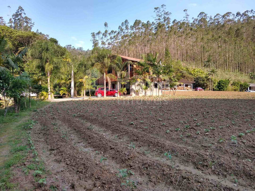 Imagem 6 de 20 de Chácara À Venda Em Botuverá/sc - 1622c