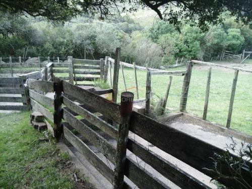 Campo En Venta En Uruguay, Lavalleja A Pocos Km De Minas- Ref: 22035