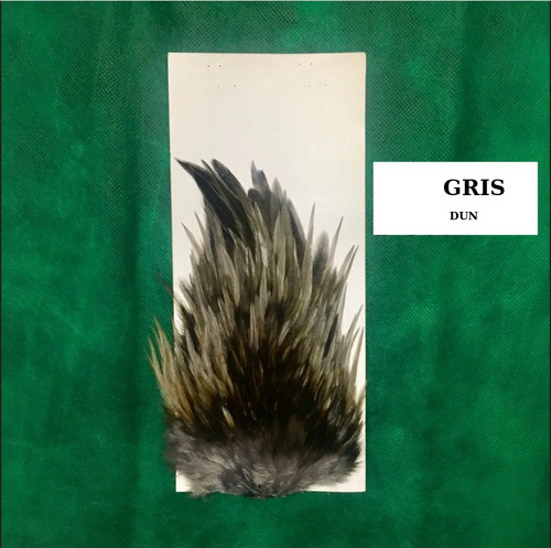 Plumas Grey Gull Teñida Color Gris Dun (caperoaster) (progg)