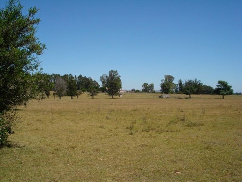 Campo En Venta En None