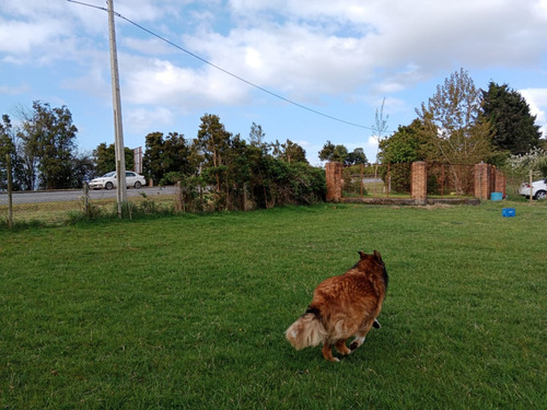 Hermosa Parcela Con Servidumbre Privada Al Lago Llanquihue