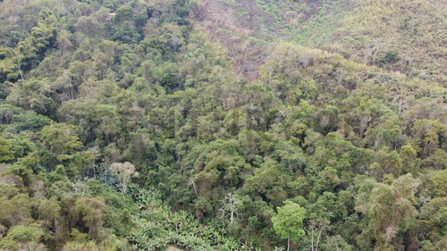 Terreno De 15 Has En El Amarillo San Antonio De Los Altos