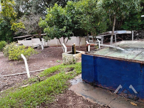 Imagem 25 de 30 de Chácara À Venda, 360000 M² Por R$ 3.400.000,00 - Fazenda Nata - Londrina/pr - Ch0189