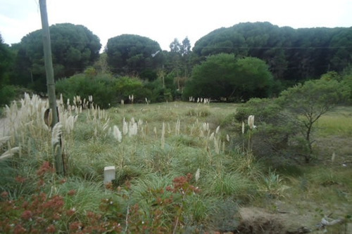 Imagen 5 de 8 de Excelente Lote A Nivel- Muy Lindo Entorno- 15x30 Mas Espacio Verde-