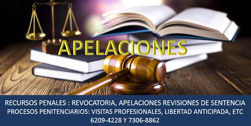 Imagen 3 de 9 de Servicios Legales En Materia Penal Y Penitenciaria Desde