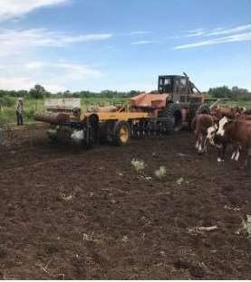 Imagen 4 de 18 de Venta Campo Mixto En Santiago Del Estero