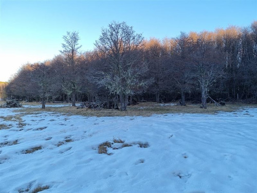 Imagen 11 de 14 de Macro Lote En Venta Coyhaique