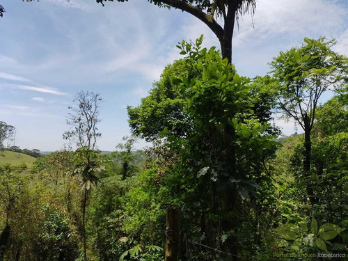 Imagem 4 de 8 de Terreno Para Venda Em Itapecerica Da Serra, Jardim Renata - 641_2-1449011