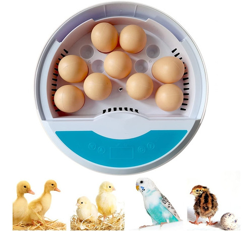 Imagen 1 de 1 de Incubadora Casera De 9 Huevos