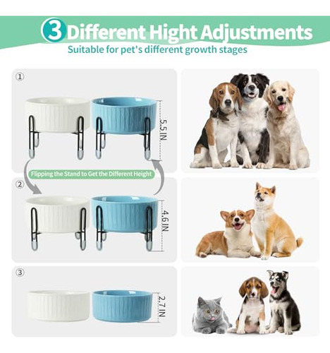 Juego Tazones Elevados 32 Oz Gatos Perros 6.5 Blanco Azul