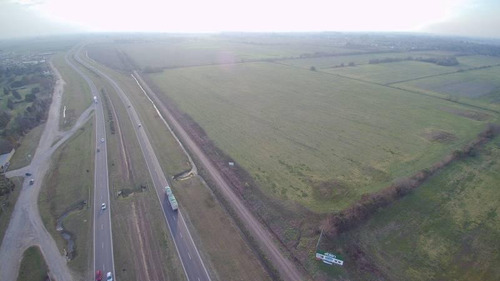 Imagen 7 de 7 de Excepcional Parcela De Campo De 16 Has. Ubicada Sobre Autopista Rosario - Córdoba ( A La Altura De Roldán) - Pcia De Santa Fe