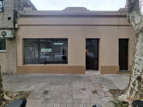 Local Comercial En Alquiler En Colonia Del Sacramento