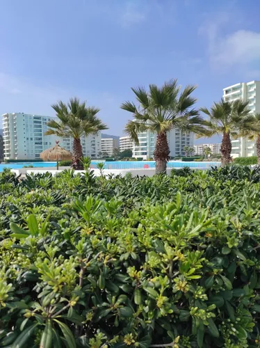 Venta Departamento Papudo Laguna P222