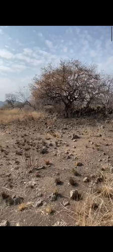 Terreno En Oaxtepec Morelos 