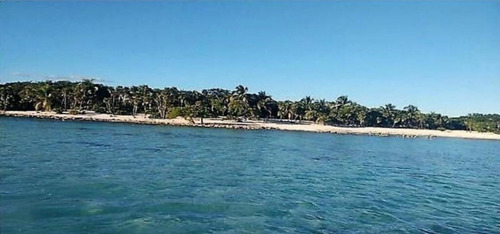 Imagen 14 de 14 de Remato 72 Hectareas Propiedad En Isla Cozumel Uso De Suelo H