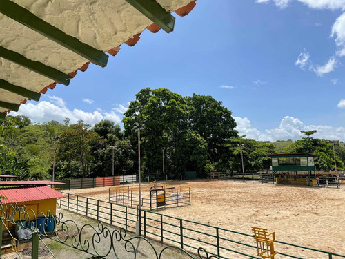 Imagen 1 de 8 de Finca En Venta En Tinaquillo