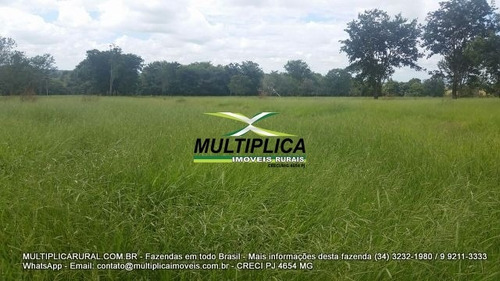 Imagem 2 de 15 de Fazenda Uberlândia Mg Para Pecuária Ou Soja, Milho 82,03 Hectares - 358