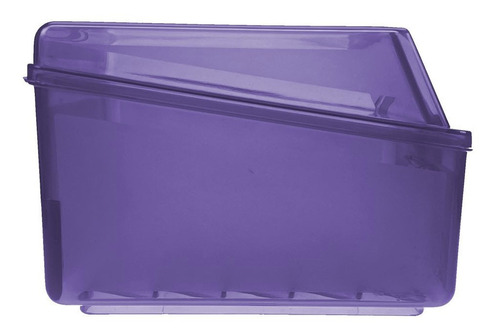 Caja Organizadora Multiusos Chica Color Morado