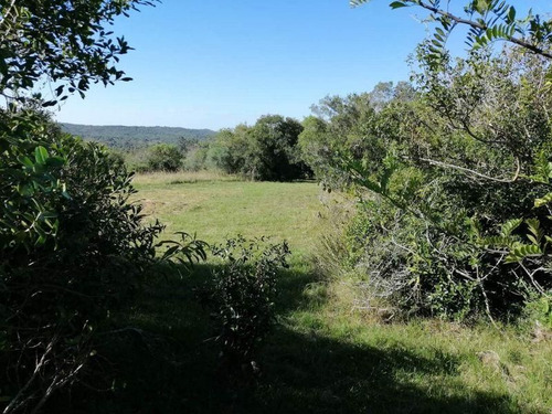 Imagen 9 de 16 de Quinta | Maldonado (ref: Bpv-5140)