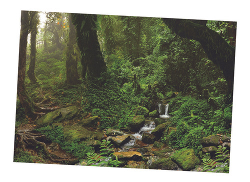 Cartaz Da Paisagem Do Aquário