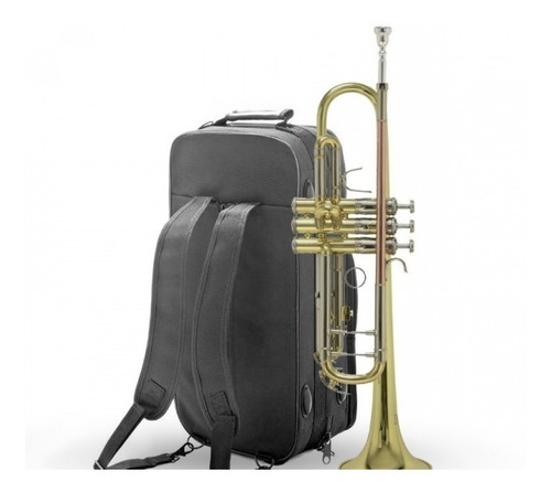 Trompeta Combinada Bach Tr501